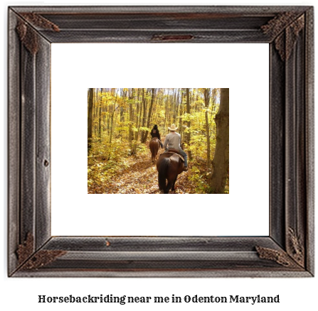 horseback riding near me in Odenton, Maryland